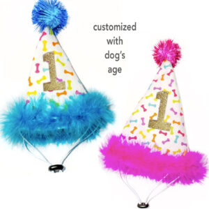 dog birthday hats with age